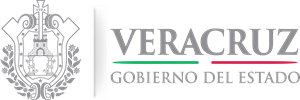 Veracruz Gobierno del Estado Logo ,Logo , icon , SVG Veracruz Gobierno del Estado Logo