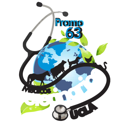 Veterinarios UCLA Promocion 63 Logo ,Logo , icon , SVG Veterinarios UCLA Promocion 63 Logo