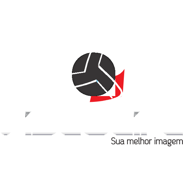 VideoLife Logo