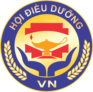 Vietnam Nurses Association Logo