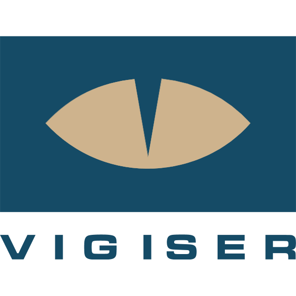 Vigiser Logo