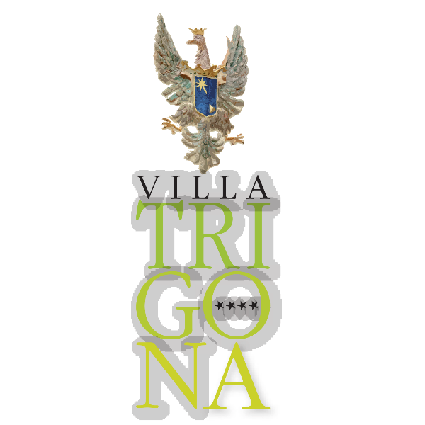 Villa Trigona Logo ,Logo , icon , SVG Villa Trigona Logo