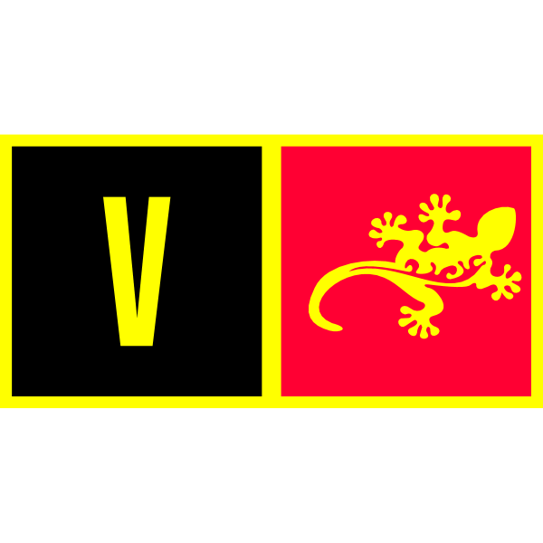 VisionArt Co. Logo
