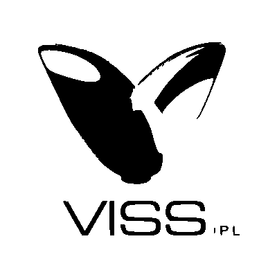Viss Beauty Logo