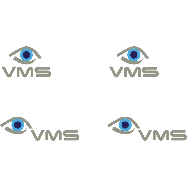 VSM Visual Management Systems Logo ,Logo , icon , SVG VSM Visual Management Systems Logo