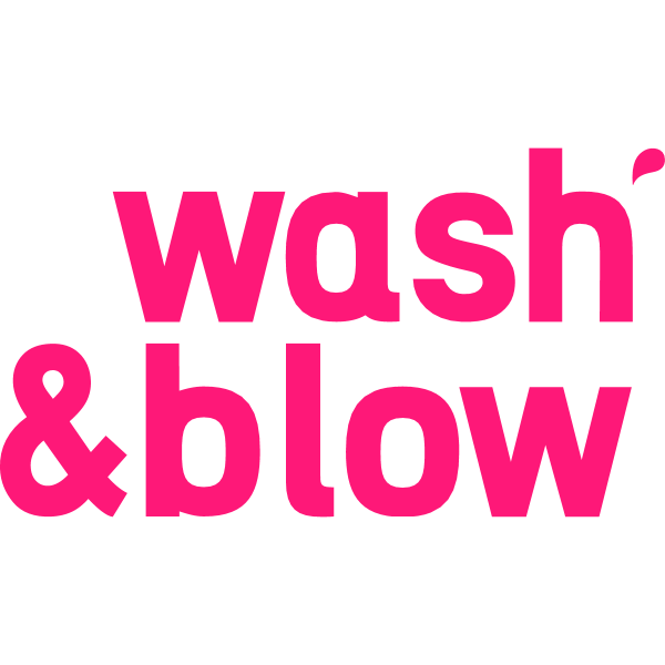 Wash & Blow Logo