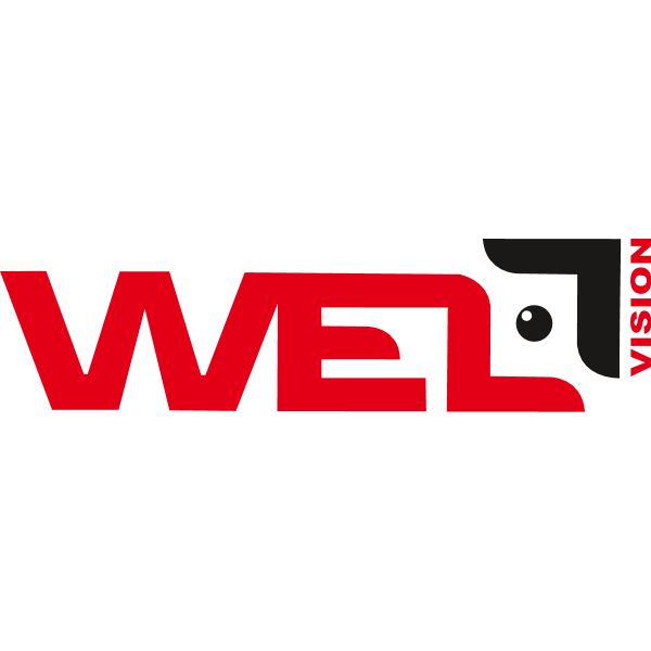 WELL VISION Logo