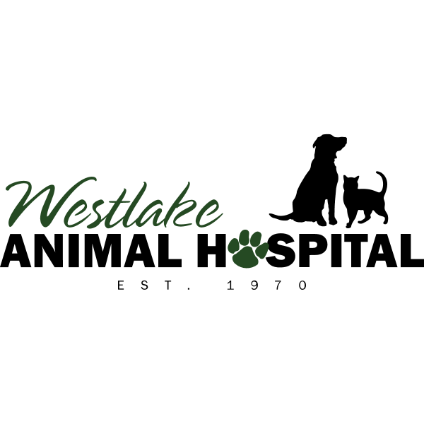 Westlake Animal Hospital Download png