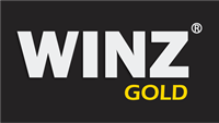 Winz Electrodes Gold Logo ,Logo , icon , SVG Winz Electrodes Gold Logo