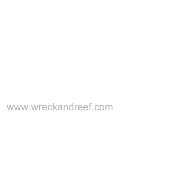 WreckAndReef Logo ,Logo , icon , SVG WreckAndReef Logo