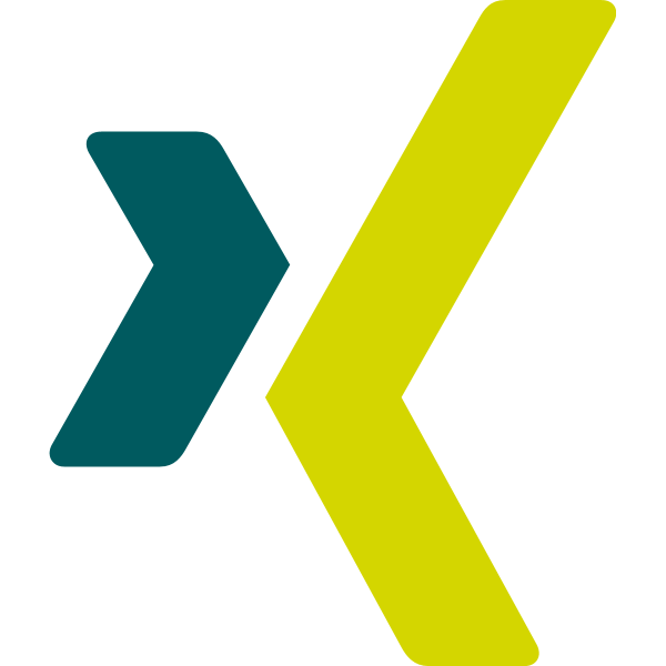Xing icon ,Logo , icon , SVG Xing icon