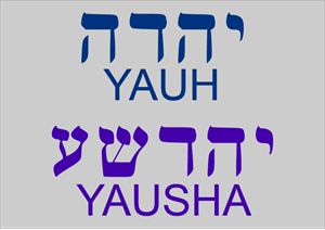 YAUH – YAUSHA Logo
