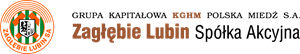 Zaglebie Lubin SA (2008) Logo
