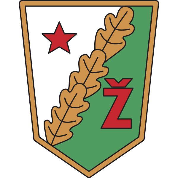 Zhalgiris Vilnus 80’s Logo
