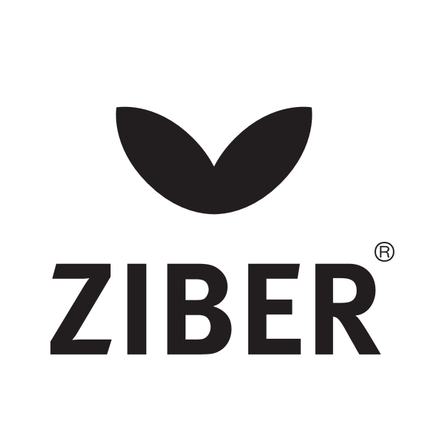 ZIBER Logo ,Logo , icon , SVG ZIBER Logo