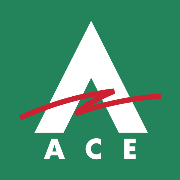 شعار ACE Cash Express 81874